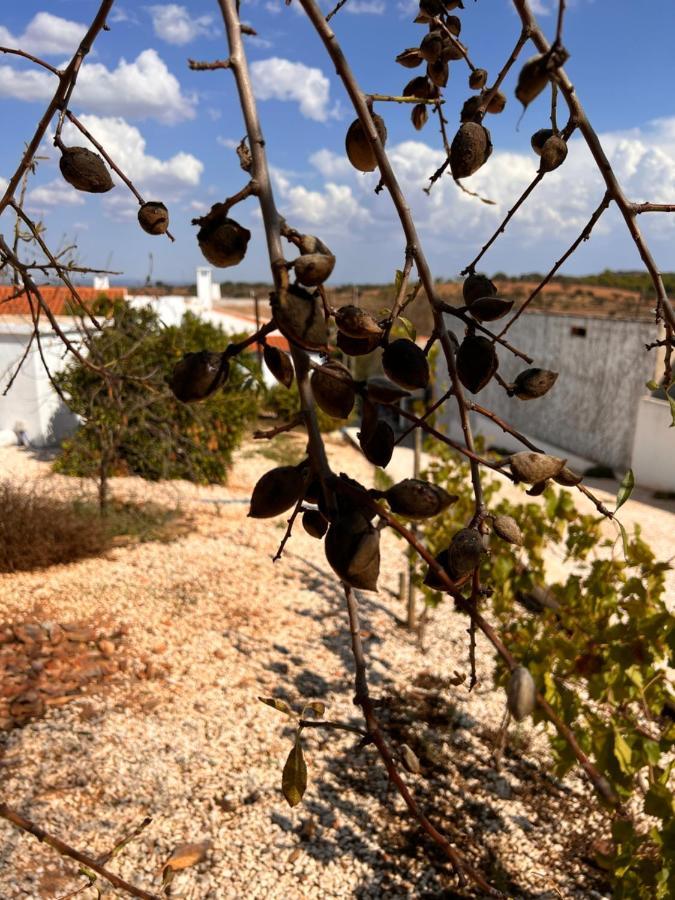 Casa Da Eira Βίλα Reguengos de Monsaraz Εξωτερικό φωτογραφία