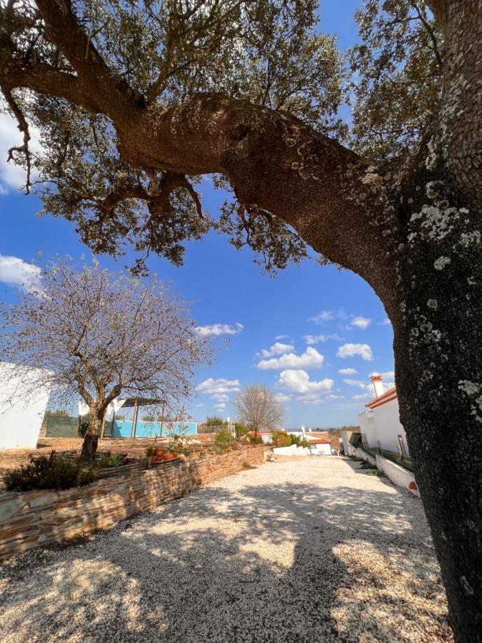 Casa Da Eira Βίλα Reguengos de Monsaraz Εξωτερικό φωτογραφία